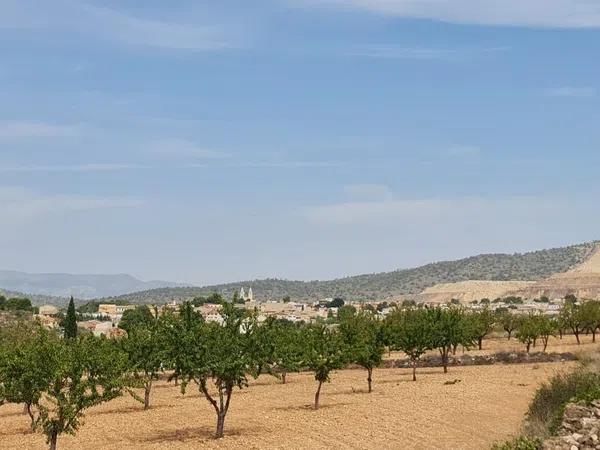 Terreno en Algueña