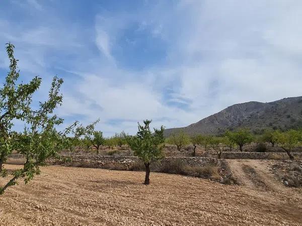 Terreno en Algueña