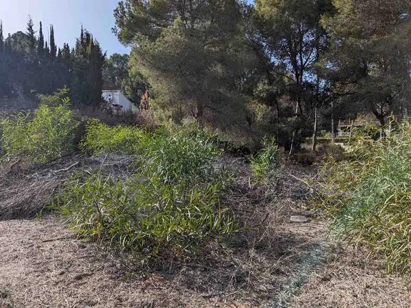 Terreno en Pinar de Advocat-Cometa