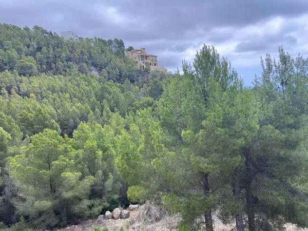 Terreno en Altea la Vella