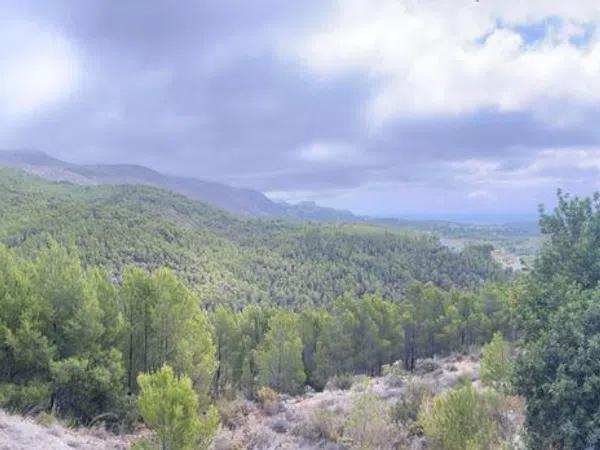 Terreno en Altea la Vella