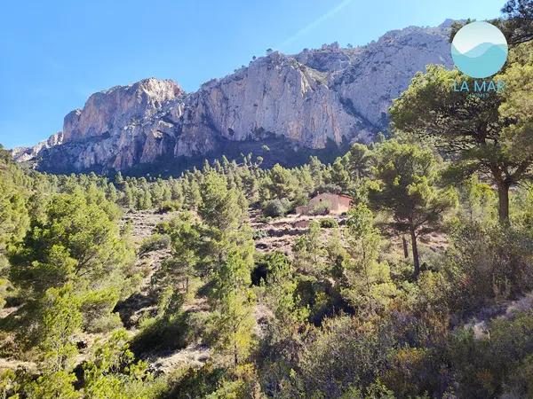 Terreno en camino de la Partida Pla de Cabeçó