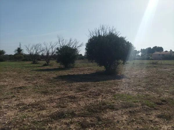 Terreno en Algoda-Matola-Llano de San José