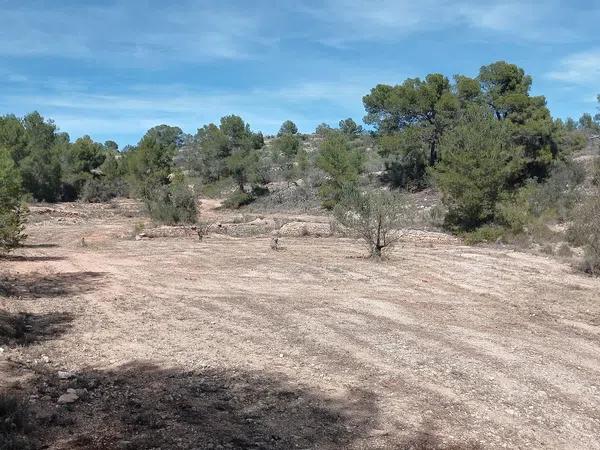 Terreno en l'Alcaná s/n