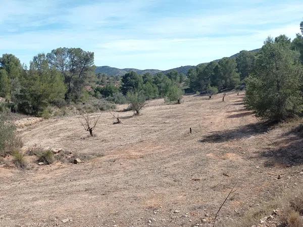 Terreno en l'Alcaná s/n