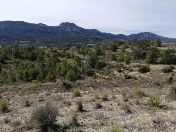 Terreno en l'Alcaná s/n