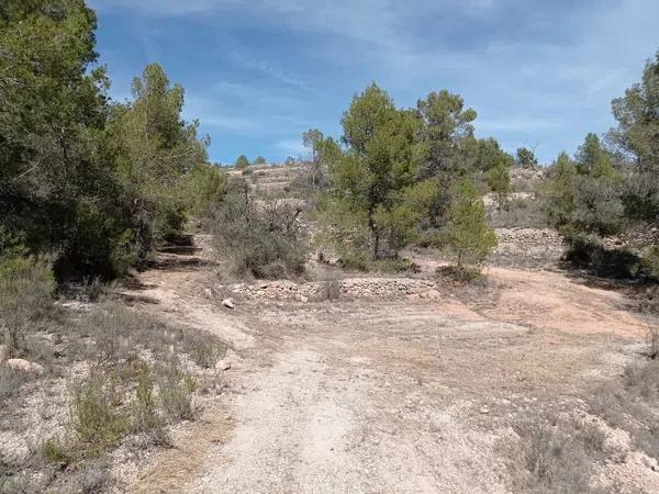 Terreno en l'Alcaná s/n