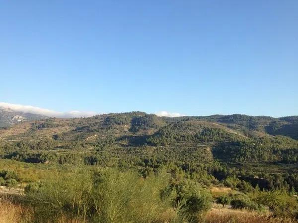 Terreno en camino del Oratori a Solana, 94 Parcela