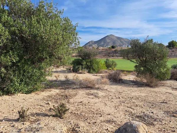 Terreno en Balcón de Finestrat-Terra Marina