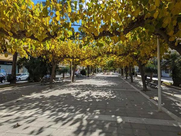 Terreno en El Portet-Pla del Mar