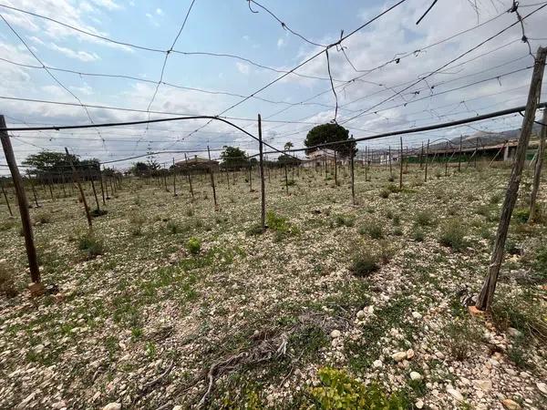 Terreno en plaza Poligono 33