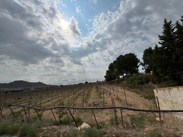 Terreno en camino Alvaro