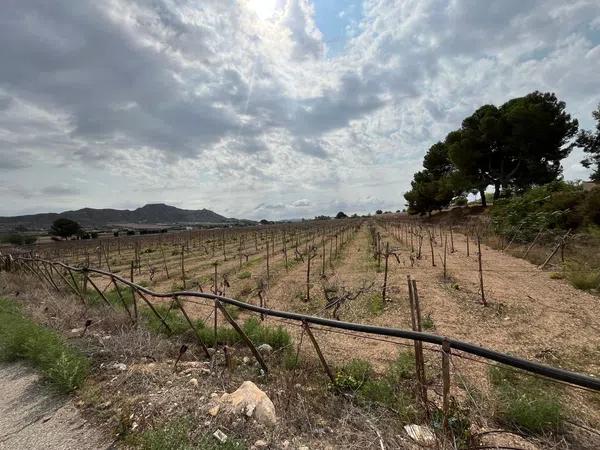 Terreno en camino Alvaro