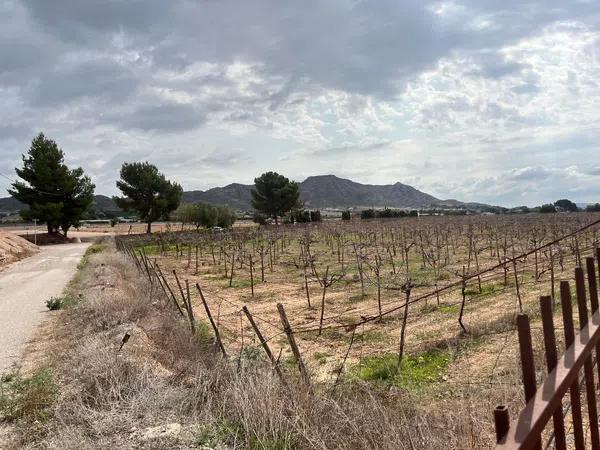 Terreno en camino Alvaro