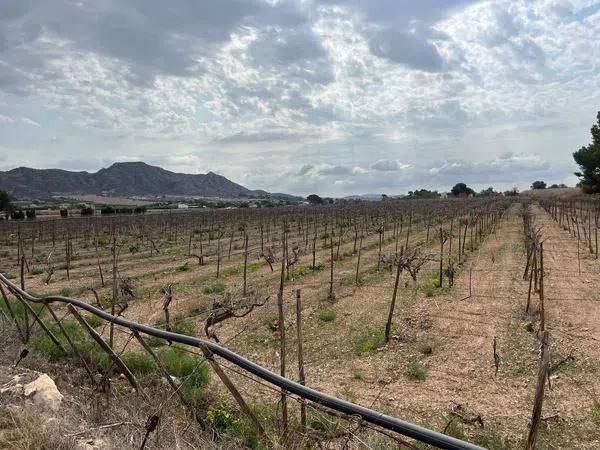 Terreno en camino Alvaro