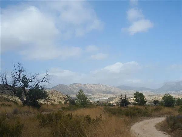 Terreno en Poligono, 21