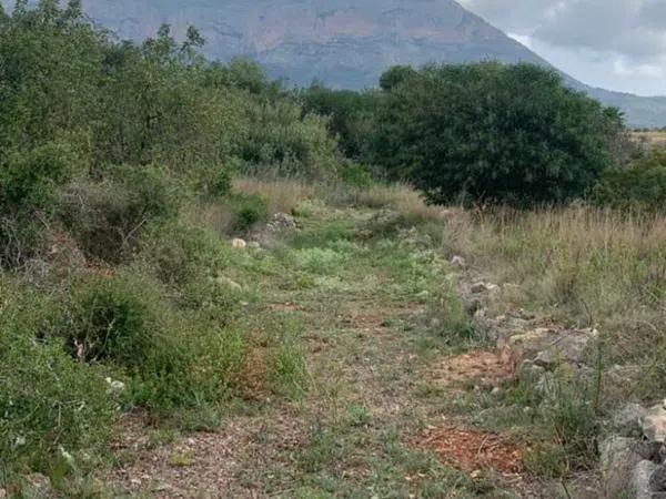 Terreno en carretera Gata, 101