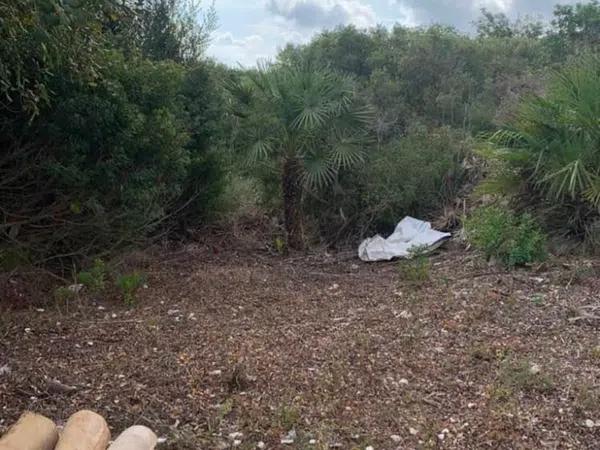 Terreno en carretera Gata, 101