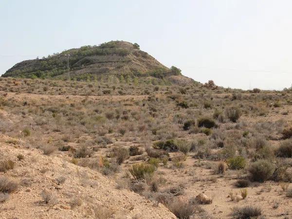 Terreno en Diseminado Moralet, km 1