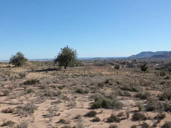 Terreno en Diseminado Moralet, km 1