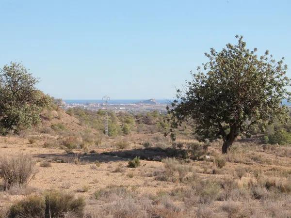 Terreno en Diseminado Moralet, km 1