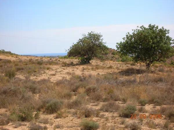 Terreno en Diseminado Moralet, km 1