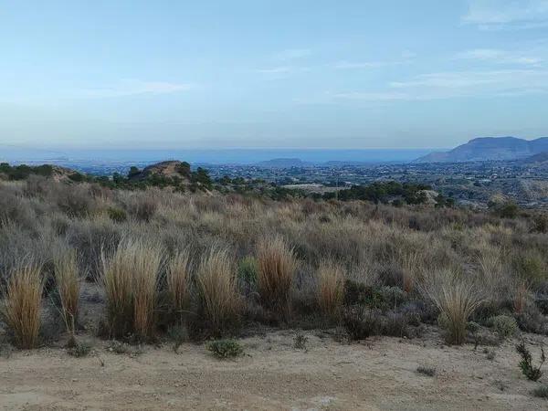 Terreno en Diseminado Moralet, km 1