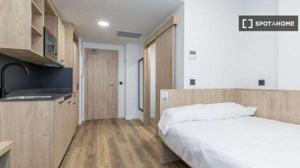 Apartamento estudio en alquiler en residencia en La Paz, Madrid