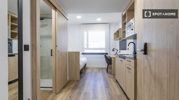 Apartamento estudio en alquiler en residencia en La Paz, Madrid