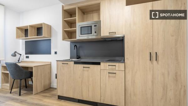 Apartamento estudio en alquiler en residencia en La Paz, Madrid