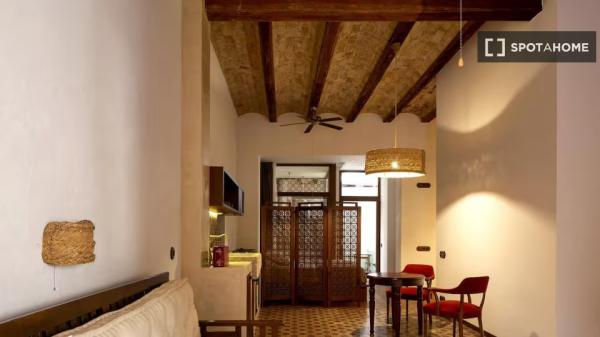 1-bedroom apartment for rent in Valencia