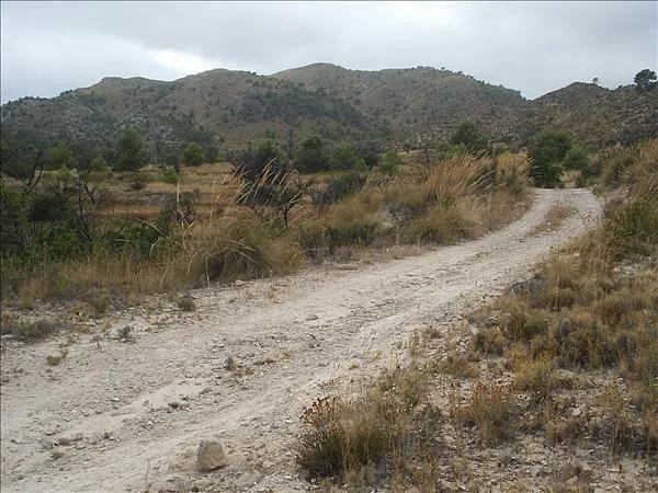 Terreno en Poligono, 21