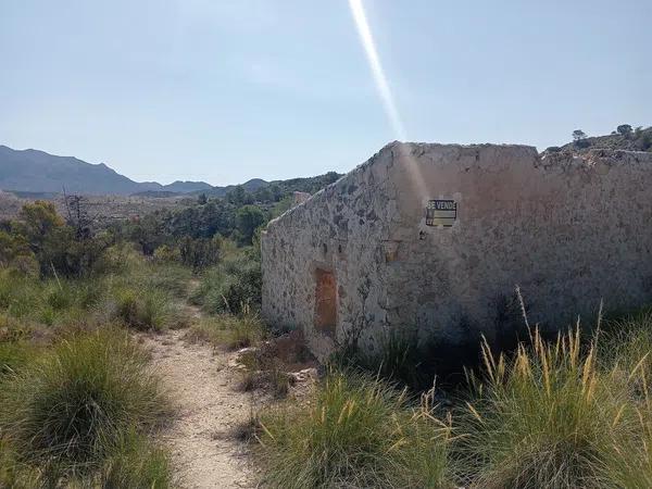 Terreno en Poligono, 21