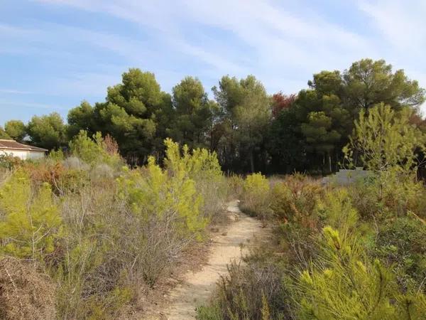 Terreno en Partida Comunes-Adsubia