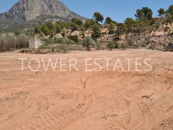 Terreno en Partida l'Atzubia