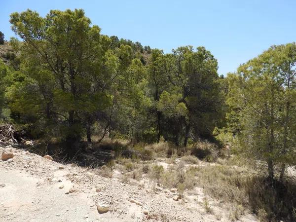 Terreno en avenida Rey Juan Carlos I, 3 a