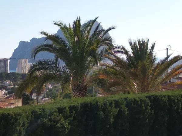 Terreno en Partida Cometa i