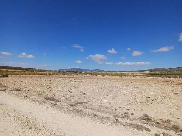 Terreno en Pinoso