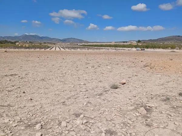 Terreno en Pinoso