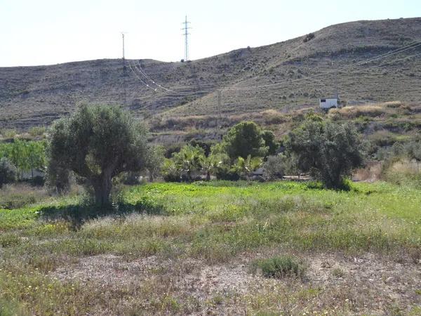 Terreno en Partida de Santa Ana s/n