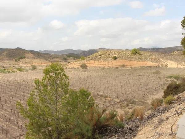 Terreno en calle Carlos Arniches