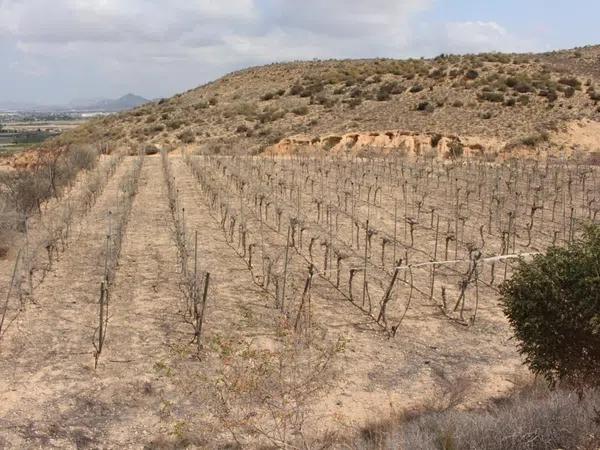 Terreno en calle Carlos Arniches