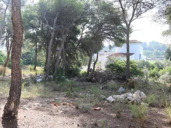 Terreno en Pinar de Advocat-Cometa