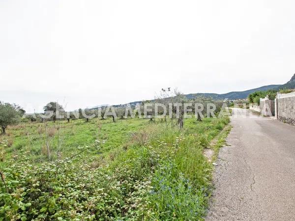 Terreno en Orba