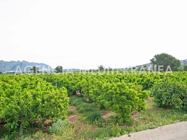 Terreno en Orba