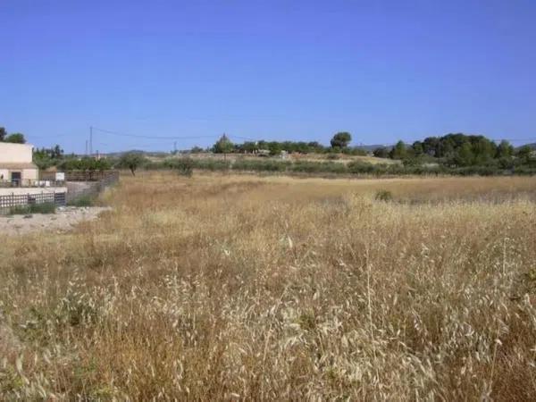 Terreno en calle Pinoses