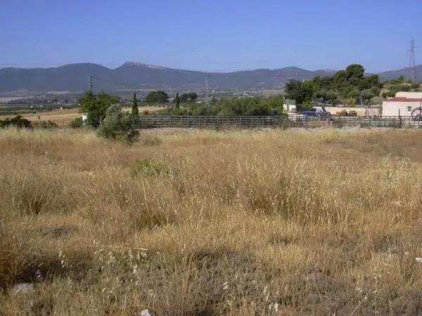 Terreno en calle Pinoses