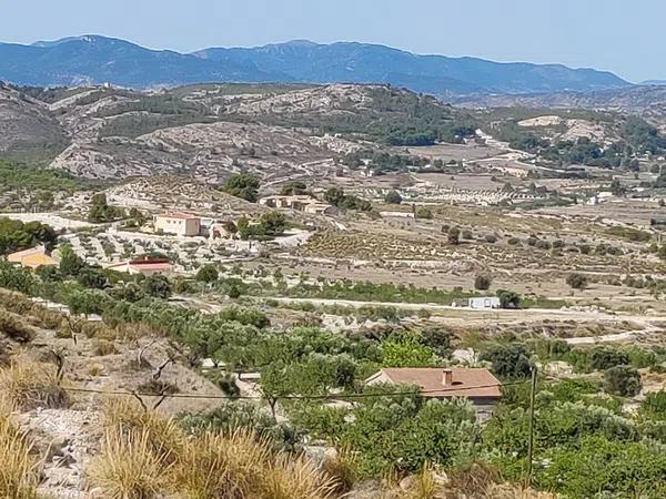 Terreno en Partida Pedreres Altes, 24