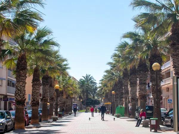 Terreno en Zona Pueblo