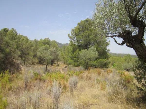 Terreno en via del Mediterráneo